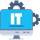 IT